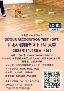 2025�N11���ɂ����F���e�X�g in ��X (1).png